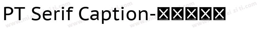 PT Serif Caption字体转换